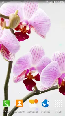 Orchids Live Wallpaper android App screenshot 1