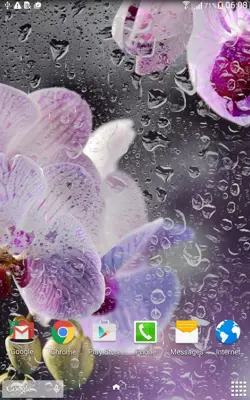 Orchids Live Wallpaper android App screenshot 7